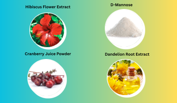 BladderShield Ingredients