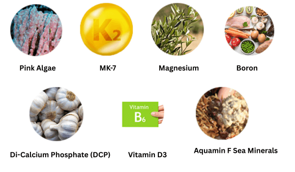 Beyond Osteo Ingredients