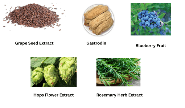 PillowPotion Cognigen Plus Ingredients